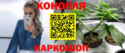 эйфоретик Будённовск