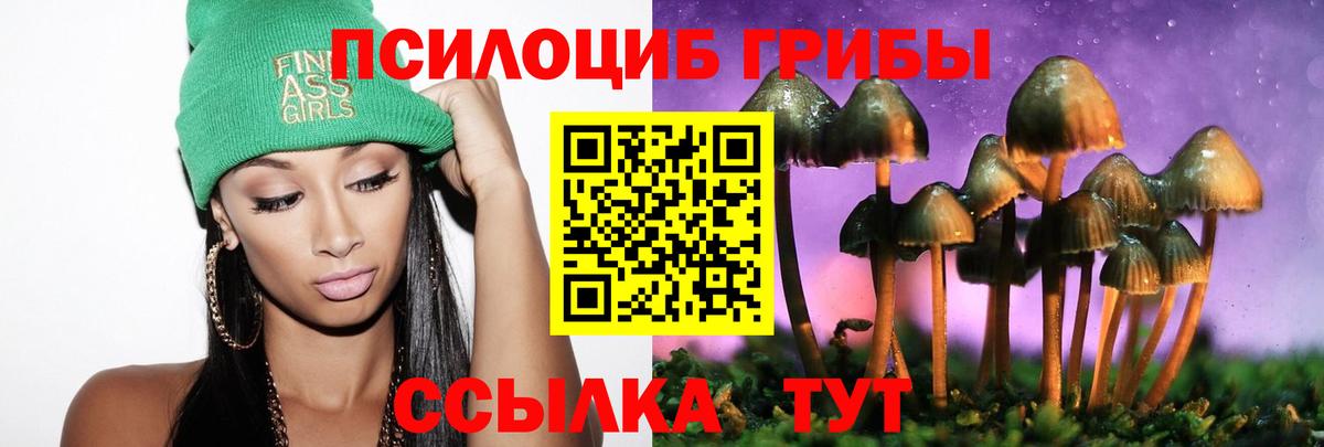 Галлюциногенные грибы GOLDEN TEACHER  Псилоцибиновые грибы Cubensis  Вход с VPN  Петрозаводск 